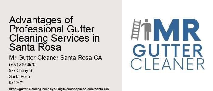 Advantages of Professional Gutter Cleaning Services in Santa Rosa