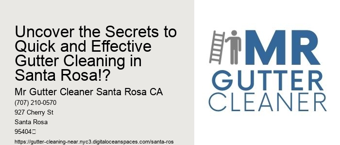 Uncover the Secrets to Quick and Effective Gutter Cleaning in Santa Rosa!?