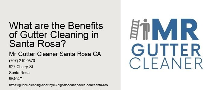 What are the Benefits of Gutter Cleaning in Santa Rosa?
