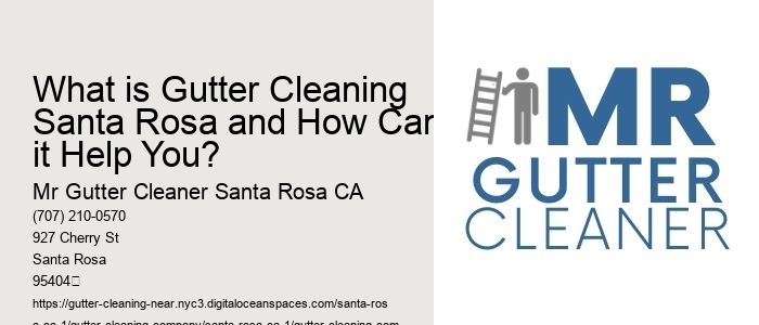 What is Gutter Cleaning Santa Rosa and How Can it Help You?