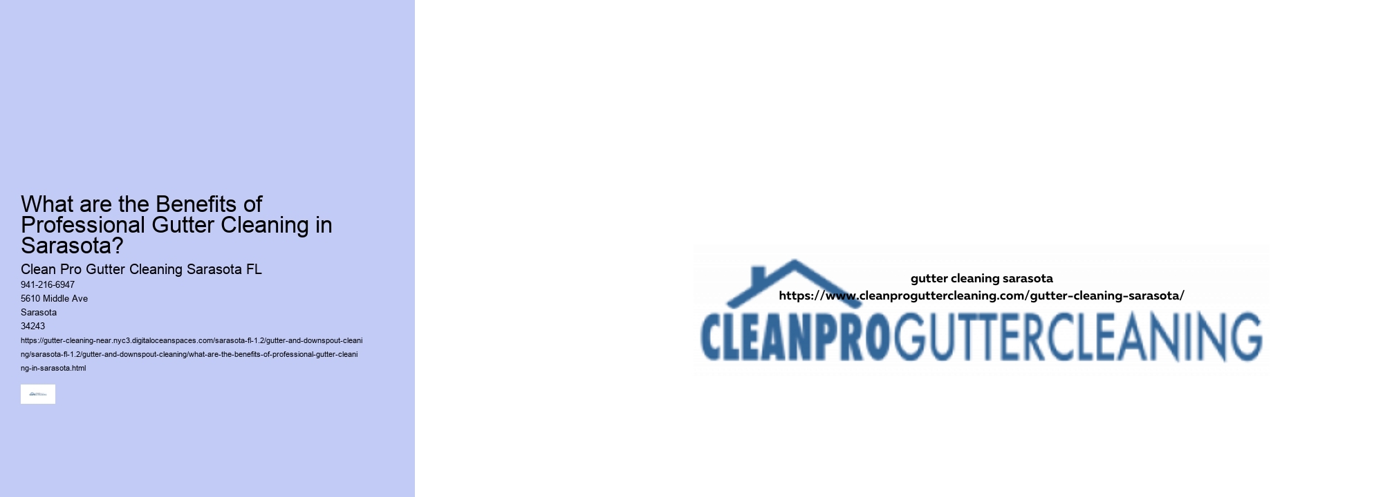 What are the Benefits of Professional Gutter Cleaning in Sarasota?