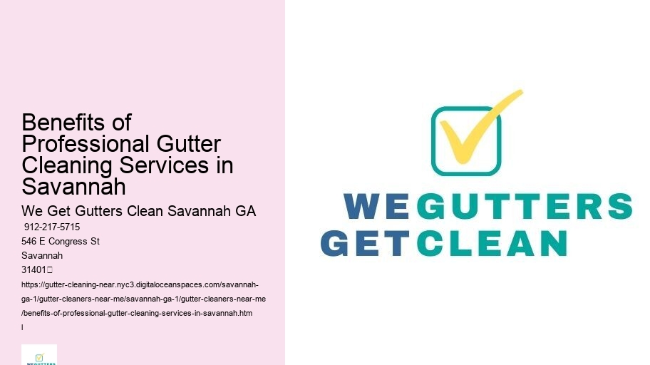Benefits of Professional Gutter Cleaning Services in Savannah 