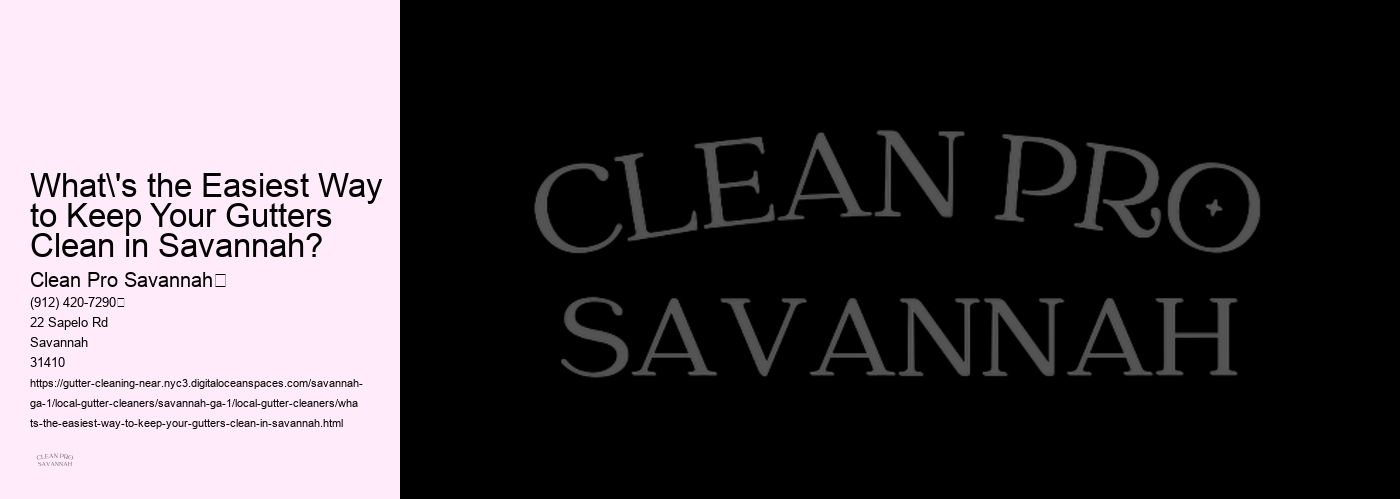 What's the Easiest Way to Keep Your Gutters Clean in Savannah?