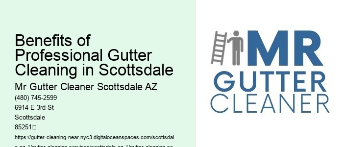 Benefits of Professional Gutter Cleaning in Scottsdale 