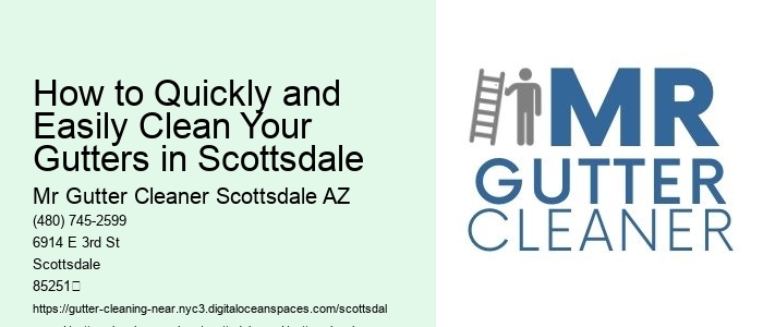 How to Quickly and Easily Clean Your Gutters in Scottsdale 