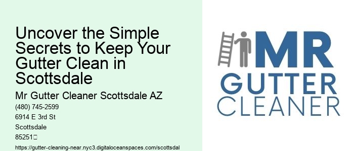 Uncover the Simple Secrets to Keep Your Gutter Clean in Scottsdale