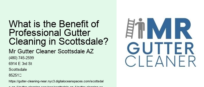 What is the Benefit of Professional Gutter Cleaning in Scottsdale?