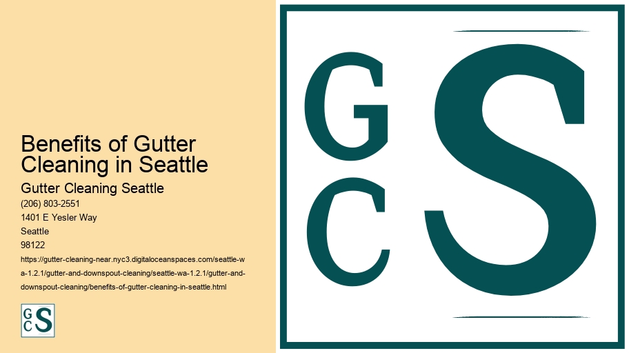 Benefits of Gutter Cleaning in Seattle 