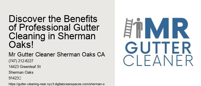 Discover the Benefits of Professional Gutter Cleaning in Sherman Oaks!