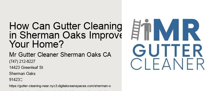 How Can Gutter Cleaning in Sherman Oaks Improve Your Home?