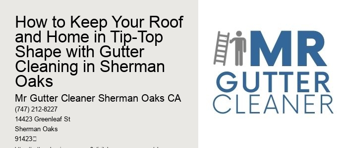 How to Keep Your Roof and Home in Tip-Top Shape with Gutter Cleaning in Sherman Oaks 