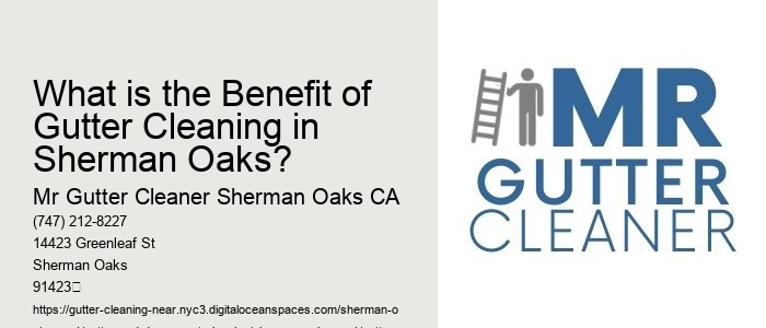 What is the Benefit of Gutter Cleaning in Sherman Oaks? 