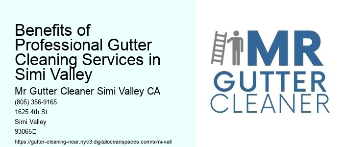 Benefits of Professional Gutter Cleaning Services in Simi Valley 
