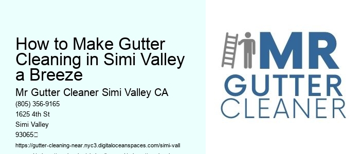 How to Make Gutter Cleaning in Simi Valley a Breeze 