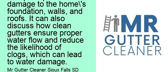 Benefits of Regular Gutter Cleaning: This topic can include the importance of keeping gutters clean and how it helps to prevent damage to the home's foundation, walls, and roofs. It can also discuss how clean gutters ensure proper water flow and reduce the likelihood of clogs, which can lead to water damage.
