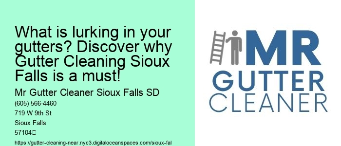 What is lurking in your gutters? Discover why Gutter Cleaning Sioux Falls is a must!