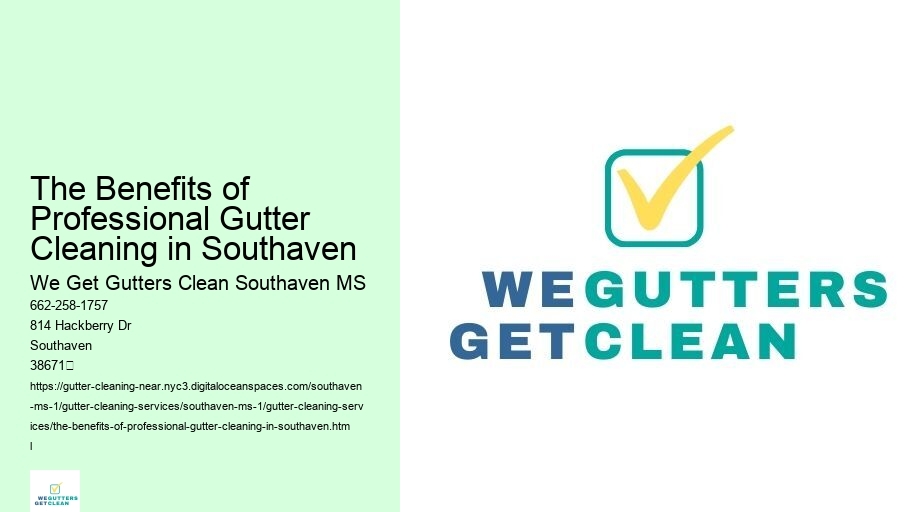 The Benefits of Professional Gutter Cleaning in Southaven 