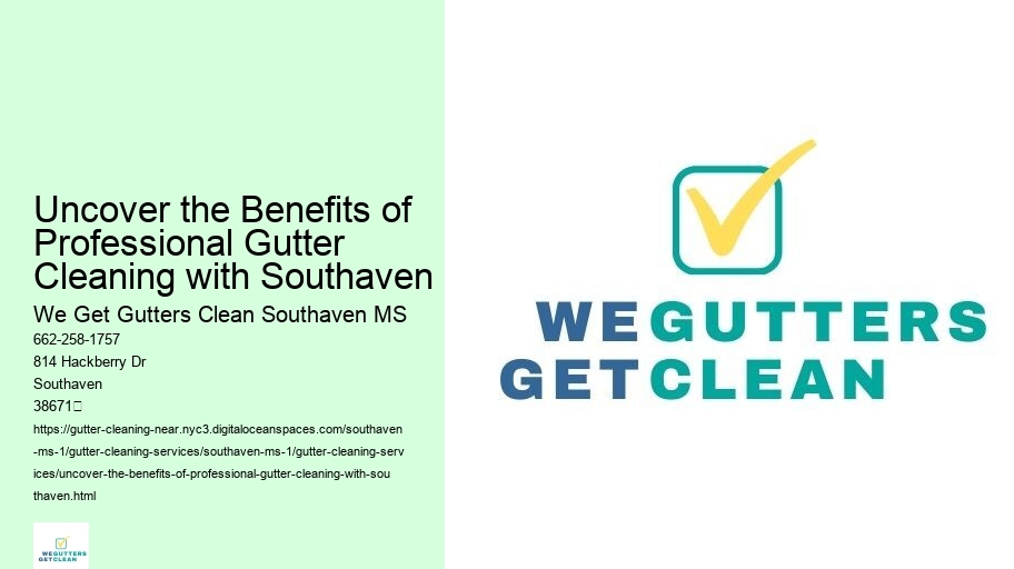 Uncover the Benefits of Professional Gutter Cleaning with Southaven