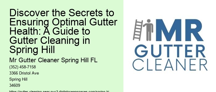 Discover the Secrets to Ensuring Optimal Gutter Health: A Guide to Gutter Cleaning in Spring Hill