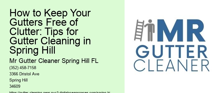 How to Keep Your Gutters Free of Clutter: Tips for Gutter Cleaning in Spring Hill 