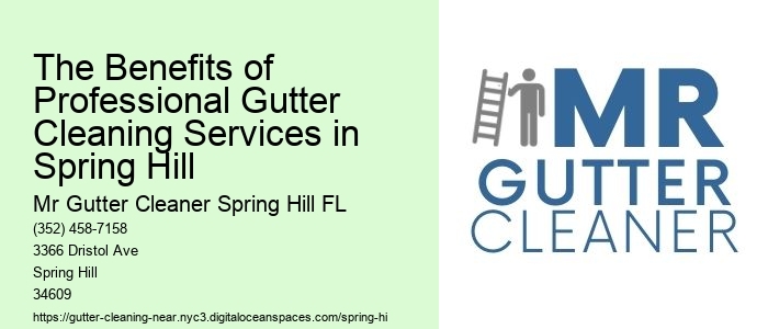 The Benefits of Professional Gutter Cleaning Services in Spring Hill 