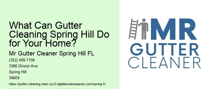 What Can Gutter Cleaning Spring Hill Do for Your Home?