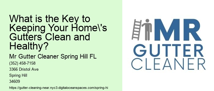 What is the Key to Keeping Your Home's Gutters Clean and Healthy? 