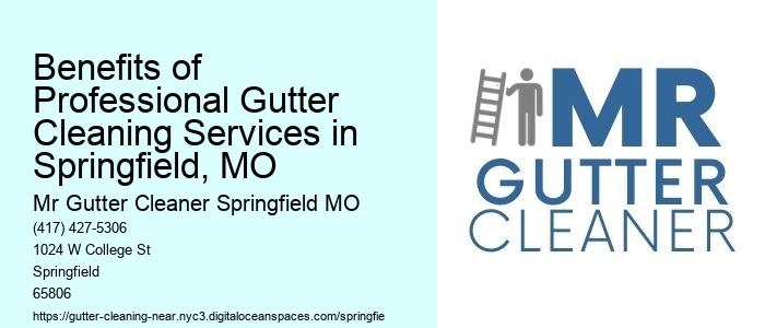 Benefits of Professional Gutter Cleaning Services in Springfield, MO 