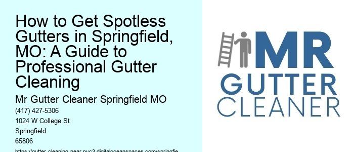How to Get Spotless Gutters in Springfield, MO: A Guide to Professional Gutter Cleaning 
