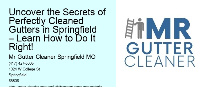 Uncover the Secrets of Perfectly Cleaned Gutters in Springfield – Learn How to Do It Right!