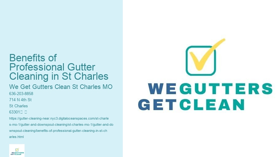 Benefits of Professional Gutter Cleaning in St Charles 