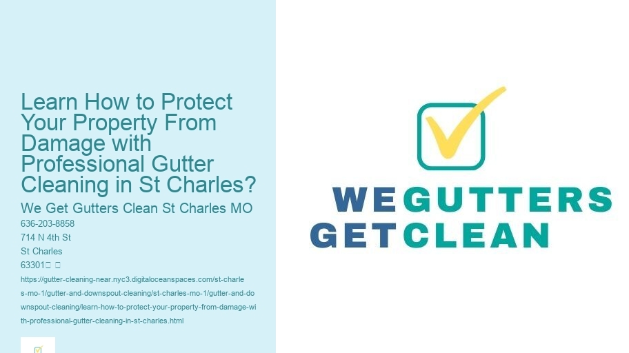 Learn How to Protect Your Property From Damage with Professional Gutter Cleaning in St Charles?
