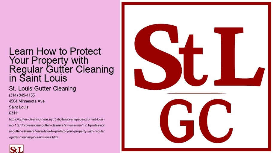 Learn How to Protect Your Property with Regular Gutter Cleaning in Saint Louis