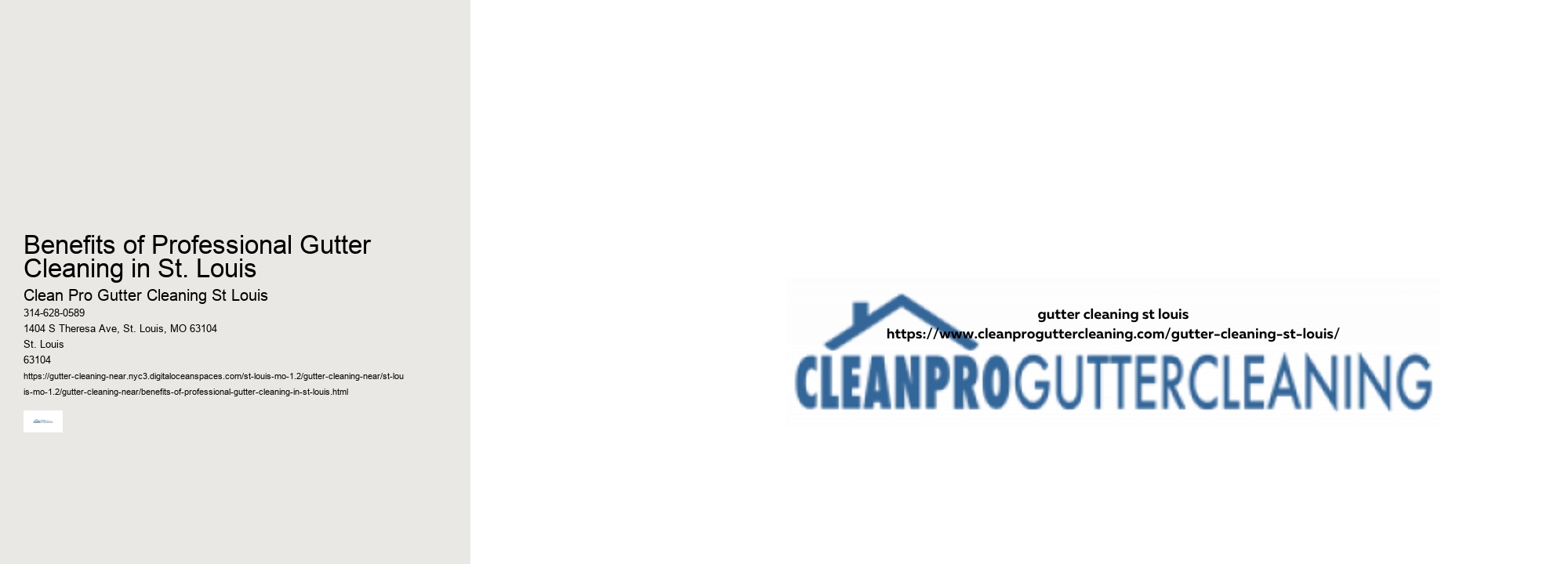 Benefits of Professional Gutter Cleaning in St. Louis 