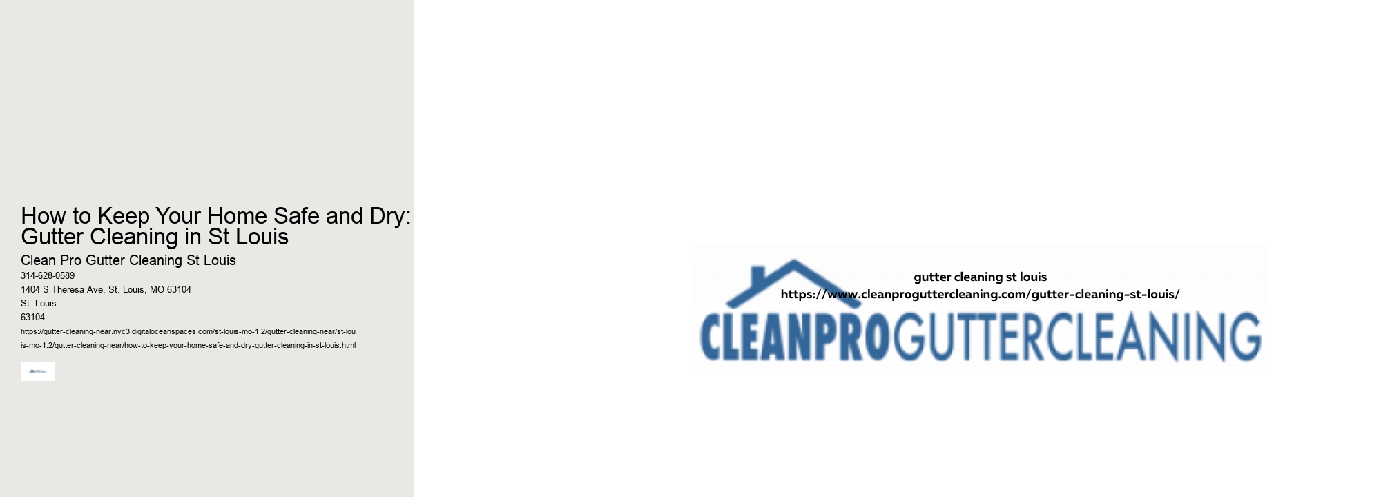 How to Keep Your Home Safe and Dry: Gutter Cleaning in St Louis 