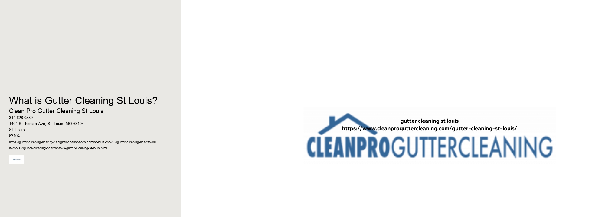What is Gutter Cleaning St Louis? 