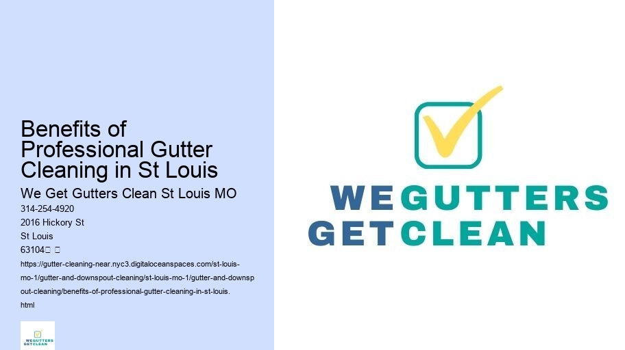 Benefits of Professional Gutter Cleaning in St Louis 
