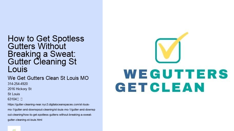 How to Get Spotless Gutters Without Breaking a Sweat: Gutter Cleaning St Louis 