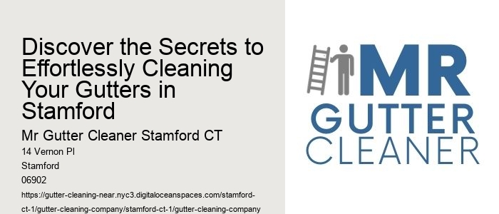 Discover the Secrets to Effortlessly Cleaning Your Gutters in Stamford