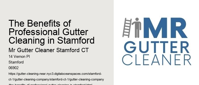The Benefits of Professional Gutter Cleaning in Stamford 