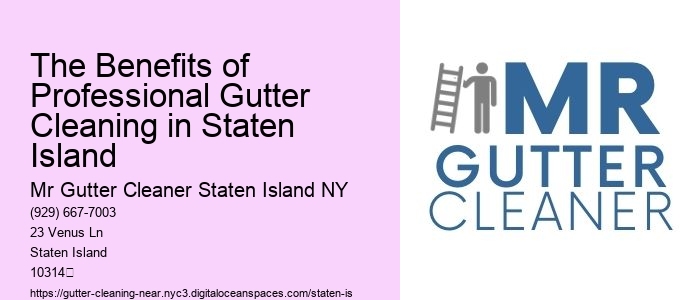 The Benefits of Professional Gutter Cleaning in Staten Island 