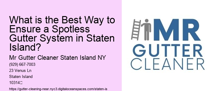 What is the Best Way to Ensure a Spotless Gutter System in Staten Island? 