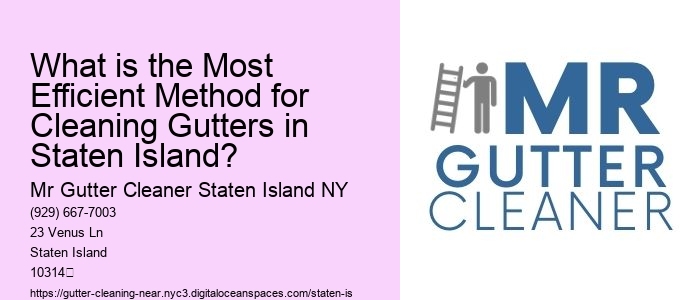 What is the Most Efficient Method for Cleaning Gutters in Staten Island?