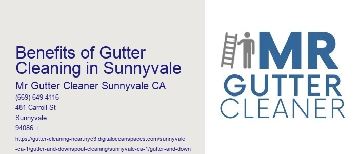 Benefits of Gutter Cleaning in Sunnyvale 
