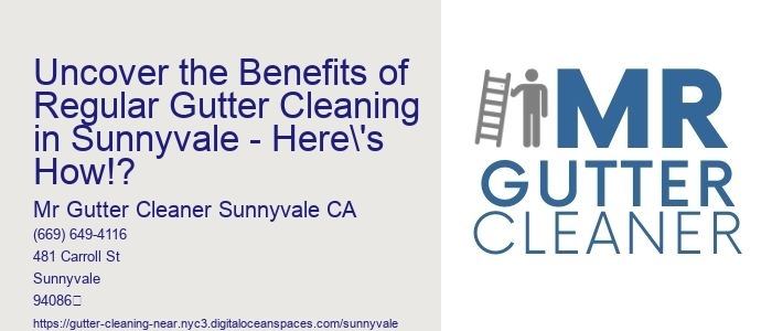Uncover the Benefits of Regular Gutter Cleaning in Sunnyvale - Here's How!?