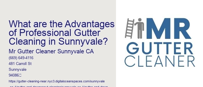 What are the Advantages of Professional Gutter Cleaning in Sunnyvale?