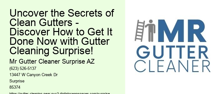 Uncover the Secrets of Clean Gutters - Discover How to Get It Done Now with Gutter Cleaning Surprise!