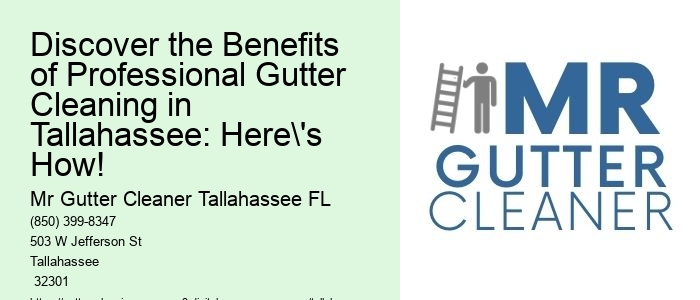 Discover the Benefits of Professional Gutter Cleaning in Tallahassee: Here's How!