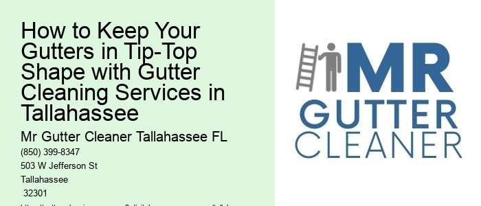 How to Keep Your Gutters in Tip-Top Shape with Gutter Cleaning Services in Tallahassee 
