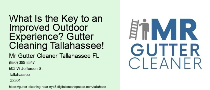 What Is the Key to an Improved Outdoor Experience? Gutter Cleaning Tallahassee!